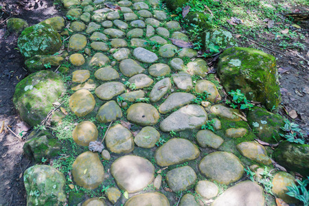 Detail of a path in El Gallineral park in San Gil, Colombiaの写真素材