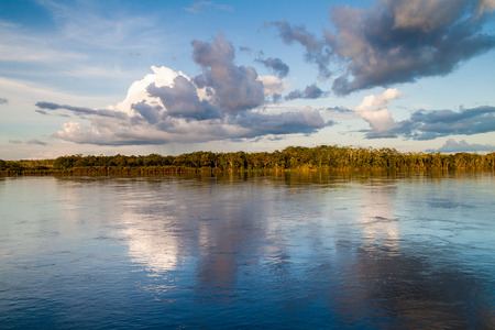 Jungle along river Napo, Peruの写真素材