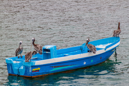Pelicans sit at the fishing boat in a port of Puerto Lopez, Ecuadorの写真素材