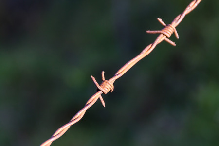 Detail of barbed wire