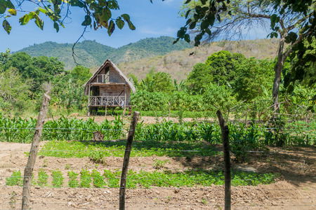 Traditional house in Agua Blanca village in Machalilla National Park, Ecuadorの写真素材