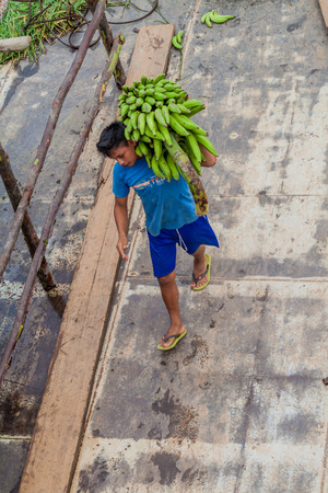 NAPO, PERU - JULY 14, 2015: Cargo boat crew transports bunches of plantains to the boat deck. Cargo boat Arabela I plies river Napo.のeditorial素材