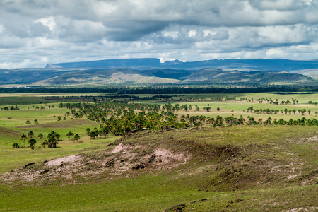 Landscape of Gran Sabana region in National Park Canaima, Venezuela. Tepuis (table mountains) in the background.の写真素材
