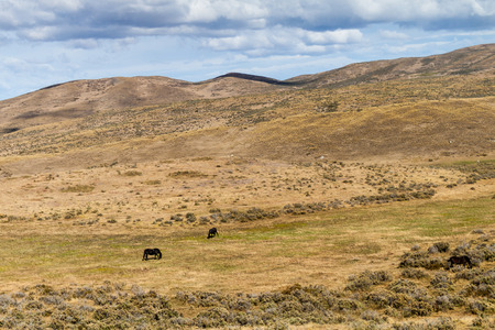 Countryside of Tierra del Fuego island, Chileの写真素材