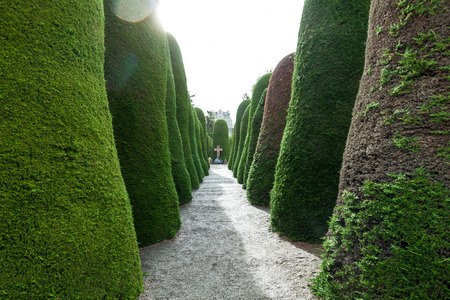 Tombs and graves at a cemetery in Punta Arenas, Chile.の写真素材
