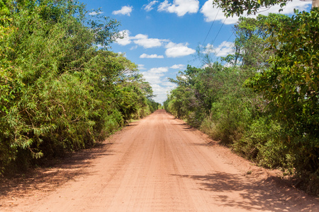 Country road in Nature Reserve Esteros del Ibera, Argentinaの写真素材