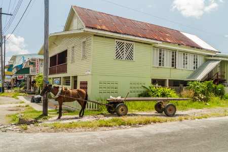 GEORGETOWN, GUYANA - AUGUST 10, 2015: Horse cart in Georgetown, capital of Guyana.のeditorial素材