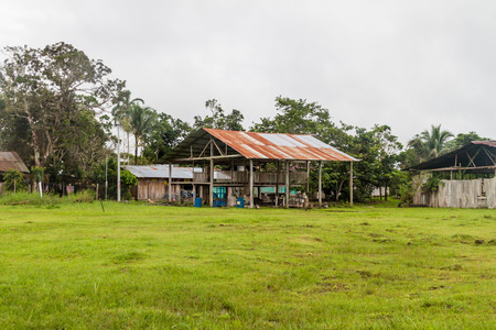 Small houses in Nuevo Rocafuerte village, Ecuadorの写真素材