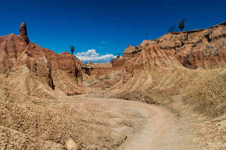 Orange rock formations of Tatacoa desert, Colombiaの写真素材