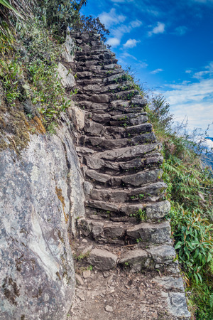 Steep trail leading to Machu Picchu mountain, Peruの写真素材