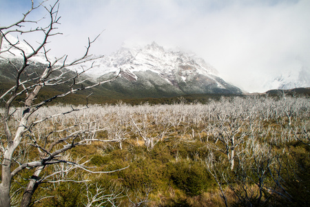 Valley of Rio Fitz Roy river in National Park Los Glaciares, Patagonia, Argentinaの写真素材