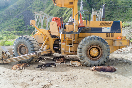 HIDROELECTRICA, PERU - MAY 17, 2015: Bulldozer with sleeping stray dogs.のeditorial素材
