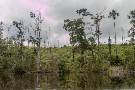 River Carrao in National Park Canaima, Venezuela.