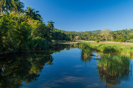 Macaganui river near Baracoa, Cubaの写真素材