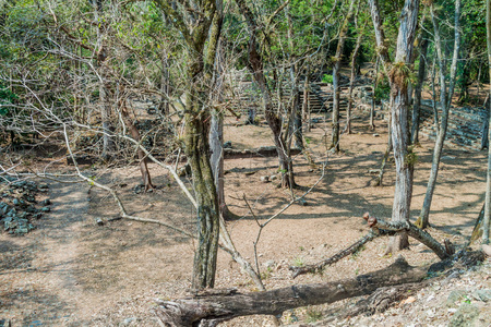 Ruins at the archaeological site Copan, Hondurasの写真素材