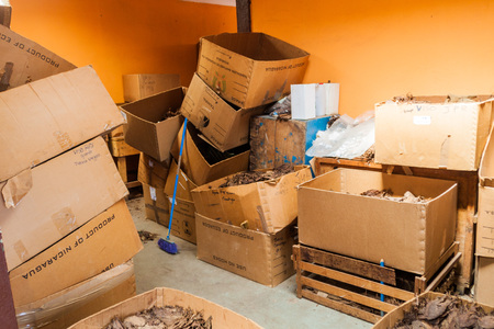ESTELI, NICARAGUA - APRIL 21, 2016: Boxes of tobacco leaves at Tabacalera Santiago cigar factory in Esteli.のeditorial素材