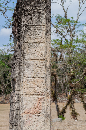 Stela with mayan hieroglyphs at the archaeological site Copan, Hondurasの写真素材
