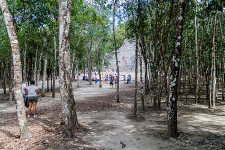 COBA, MEXICO - MARCH 1, 2016: Tourist visit the Pyramid Nohoch Mul at the ruins of the Mayan city Coba, Mexicoのeditorial素材