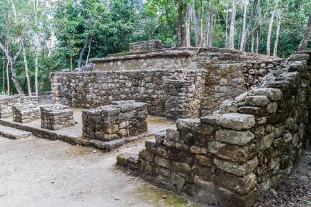 Ruins of the Mayan city Coba, Mexicoの写真素材