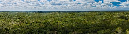 Aerial view of the thick jungle around the ruins of the Mayan city Coba, Mexicoの写真素材