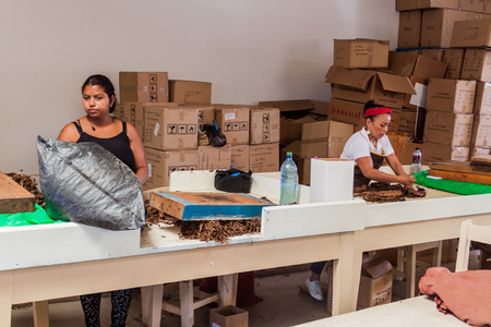 ESTELI, NICARAGUA - APRIL 21, 2016: Workers sort tobacco leaves at Tabacalera Santiago cigar factory in Esteli.のeditorial素材