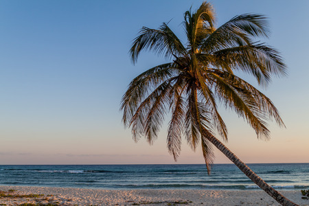 Evening on a beach in Playa Giron village, Cuba.の写真素材