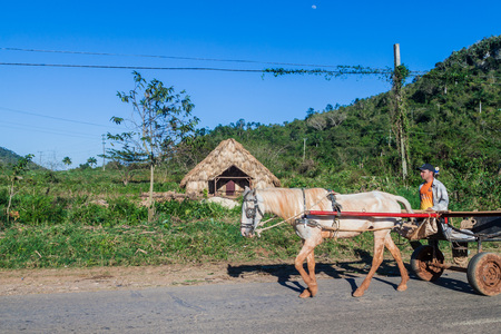 VINALES, CUBA - FEB 18, 2016: Horse cart rides on a road near Vinales.のeditorial素材