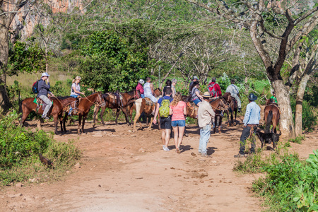 VINALES, CUBA - FEB 19, 2016: Group of tourists rides horses in Vinales valley, Cubaのeditorial素材