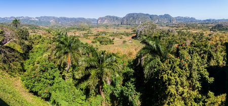 Panorama of karst Vinales valley, Cubaの写真素材