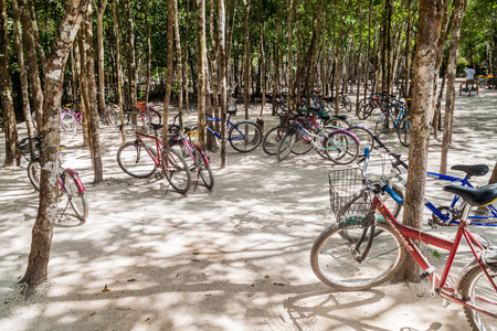 COBA, MEXICO - MARCH 1, 2016: Bicycles for rent at the ruins of the Mayan city Coba, Mexicoのeditorial素材