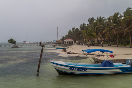 CAYE CAULKER, BELIZE - MARCH 5, 2016: Coast in Caye Caulker village, Belize. Storm is coming.のeditorial素材