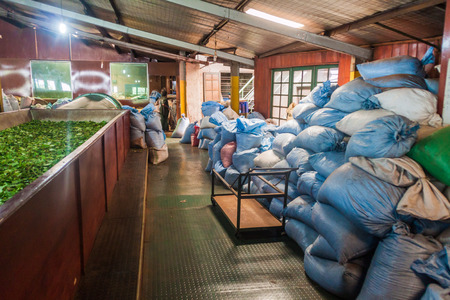 KANDY, SRI LANKA - JULY 18, 2016: Interior of Geragama Tea Factory near Kandy, Sri Lanka.のeditorial素材