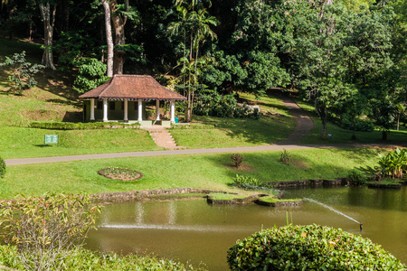 Small lake in Peradeniya Royal Botanical Gardens near Kandy, Sri Lankaの写真素材