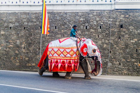 KANDY, SRI LANKA - JULY 19, 2016: Decorated elephant on a street of Kandy during Poya (Full Moon) holiday.のeditorial素材