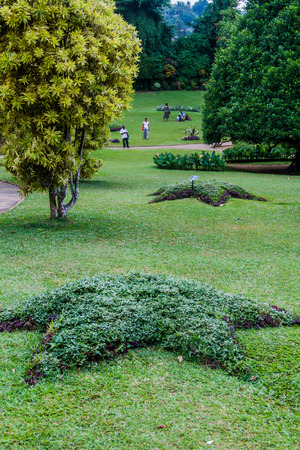 KANDY, SRI LANKA - JULY 18, 2016: People visit beautiful Peradeniya Royal Botanical Gardens near Kandy, Sri Lankaのeditorial素材