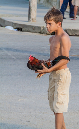 CIENFUEGOS, CUBA - FEBRUARY 10, 2016: Young boy with a rooster in Cienfuegos, Cuba.のeditorial素材