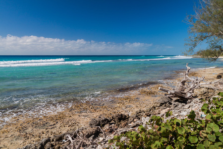 Sea coast of Pay of Pigs near Playa Giron village, Cubaの写真素材