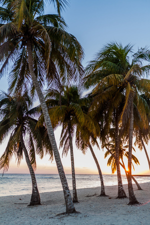 Evening on a beach in Playa Giron village, Cuba.の写真素材