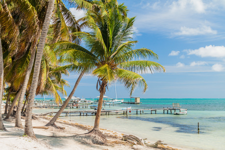 Palms and piers at Caye Caulker island, Belizeのeditorial素材