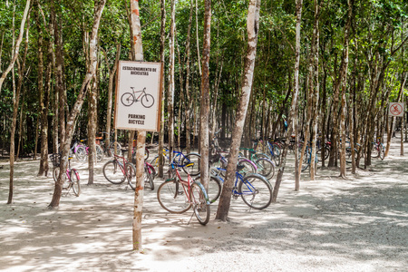 COBA, MEXICO - MARCH 1, 2016: Bicycles for rent at the ruins of the Mayan city Coba, Mexicoのeditorial素材