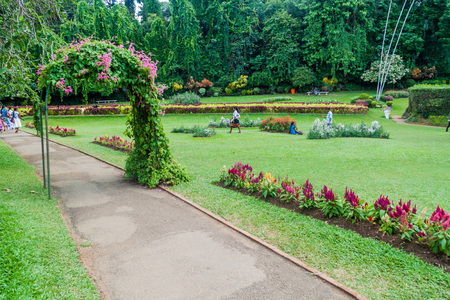 KANDY, SRI LANKA - JULY 18, 2016: People visit beautiful Peradeniya Royal Botanical Gardens near Kandy, Sri Lankaのeditorial素材