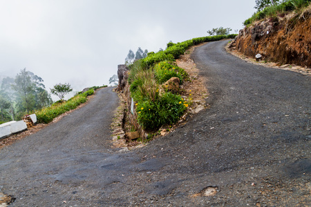 Winding road to Lipton's Seat near Haputale, Sri Lankaの写真素材