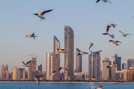 Skyline of Abu Dhabi with sea gulls, United Arab Emiratesのeditorial素材