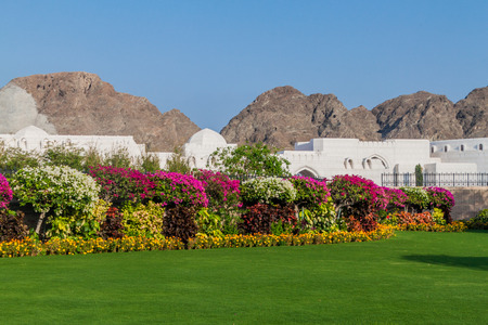 Park in Old Muscat, Omanの写真素材