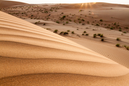 Sand dunes of Sharqiya (Wahiba) Sands, Omanの写真素材