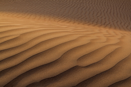 Dunes of Sharqiya (Wahiba) Sands, Omanの写真素材
