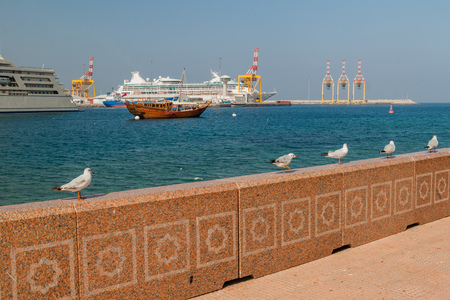 Sea gulls at Mutrah Corniche in Muscat, Oman