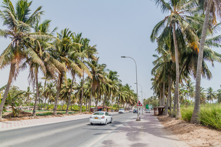 SALALAH, OMAN - FEBRUARY 26, 2017: Palm lined road in Salalah, Omanのeditorial素材