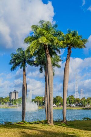 Palms and Lagoa (Laguna) in Joao Pessoa, Brazilの写真素材
