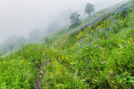 Landscape of Dilijan National Park in Armeniaの写真素材